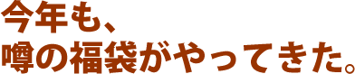 今年も、噂の福袋がやってきた。
