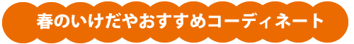 おすすめコーディネート
