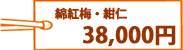 紺仁・綿紅梅 38,000円